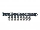COMCL31-238-3 Comp Cams Ford SB XE262H: Cam & Lifters