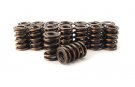 COM988-16 Comp Cams Valve Springs, Dual, 1.384 in. Outside Diameter, 230 lbs./in. Rate, 1.000 in. Coil Bind Height, Set of 16