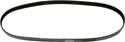 COD4060710 Continental OE Technology Series 6 Rib Belt  71" (180 cm).