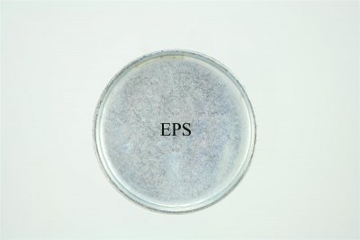 PIOEPS175 2 1/4" EXPANSION PLUG